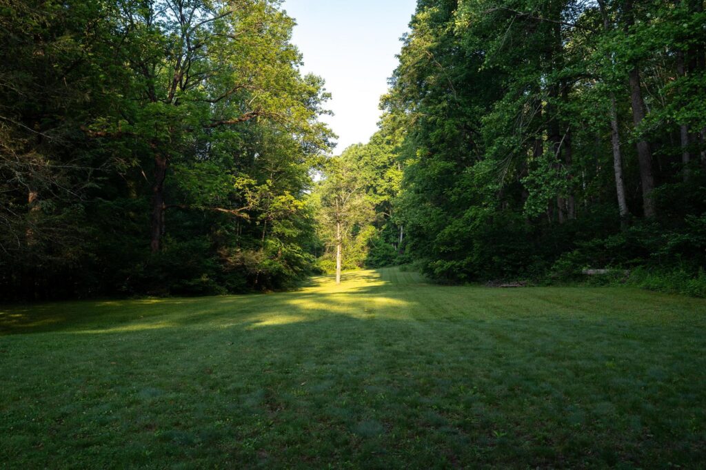 Big Creek Lodge (June 2025) - Sean Richard