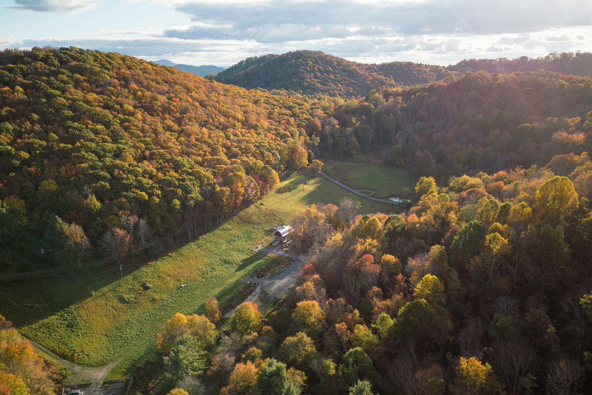 Windfall Samuel Martin Fall 2025Windfall Samuel Martin Fall 2025