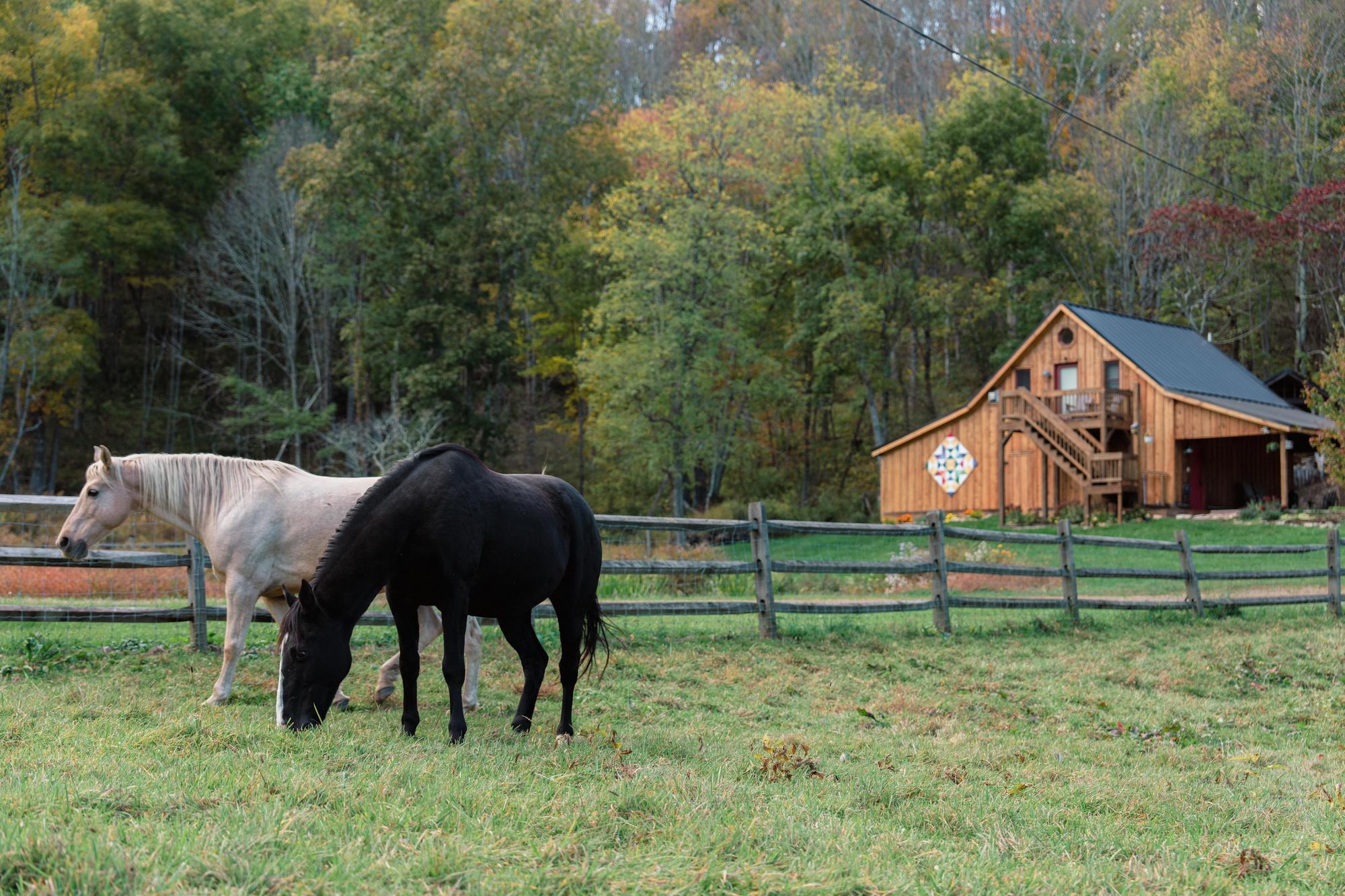 Fall 2025 - Windfall