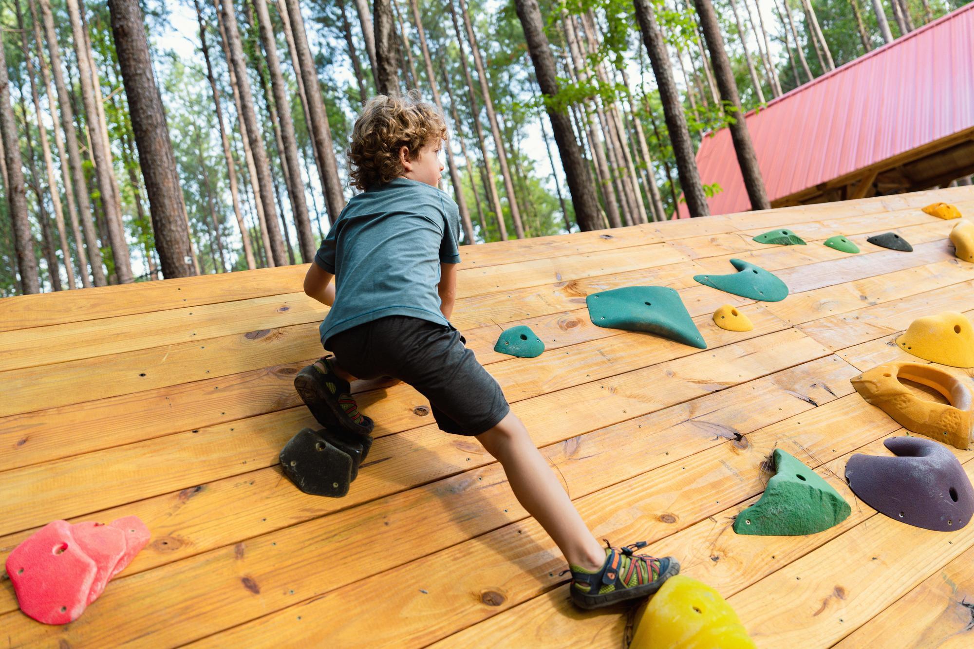 July 2024 Wildwoods - Samuel Martin