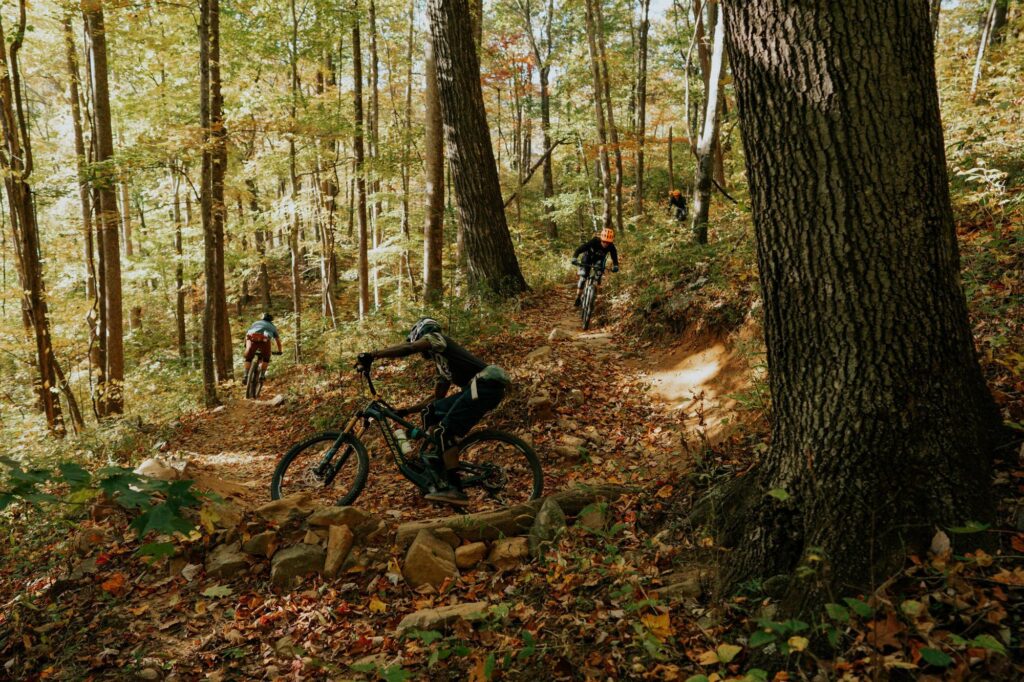 Mountain Biking in Pisgah National Forest