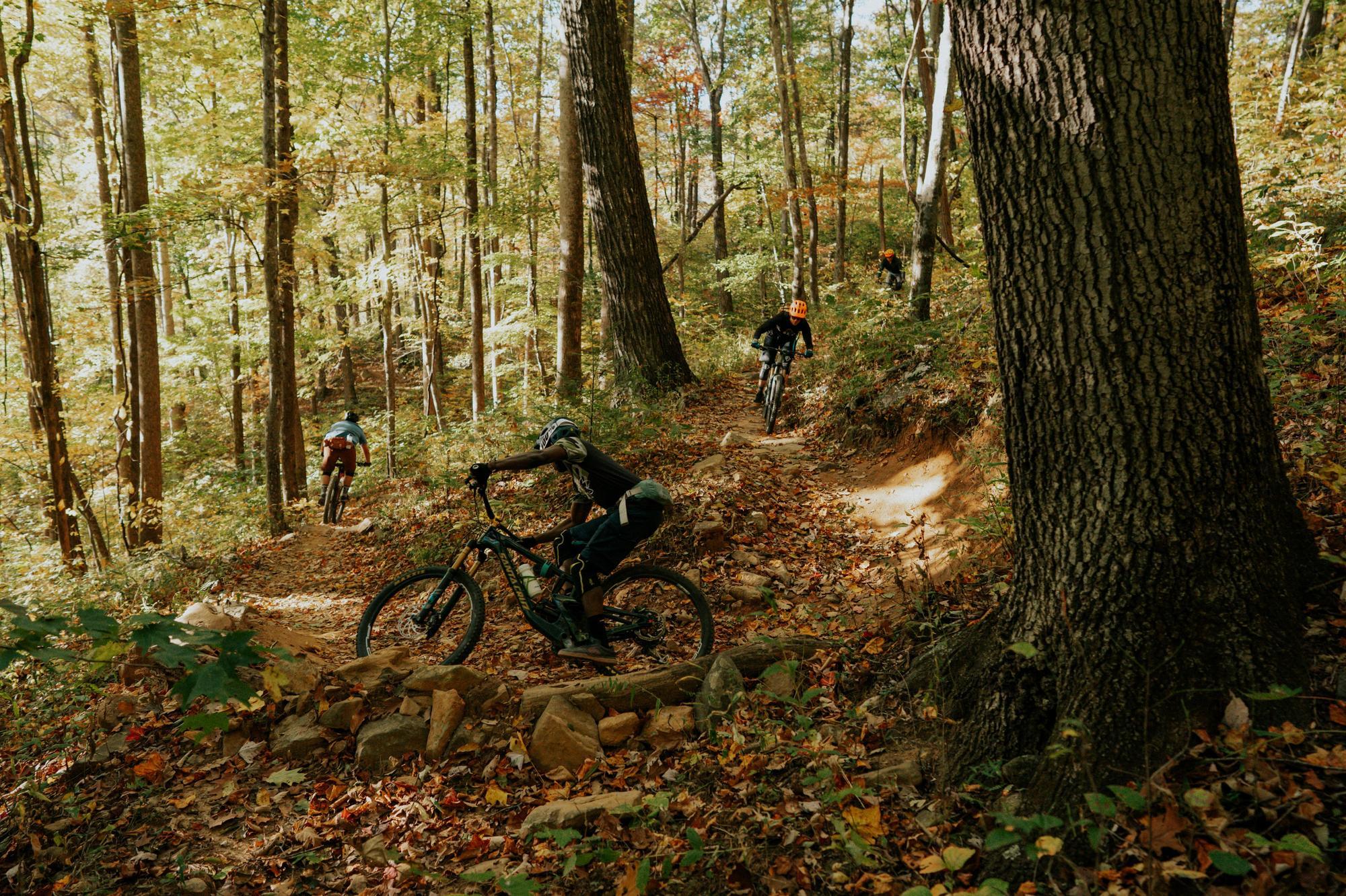 Mountain Biking in Pisgah National Forest
