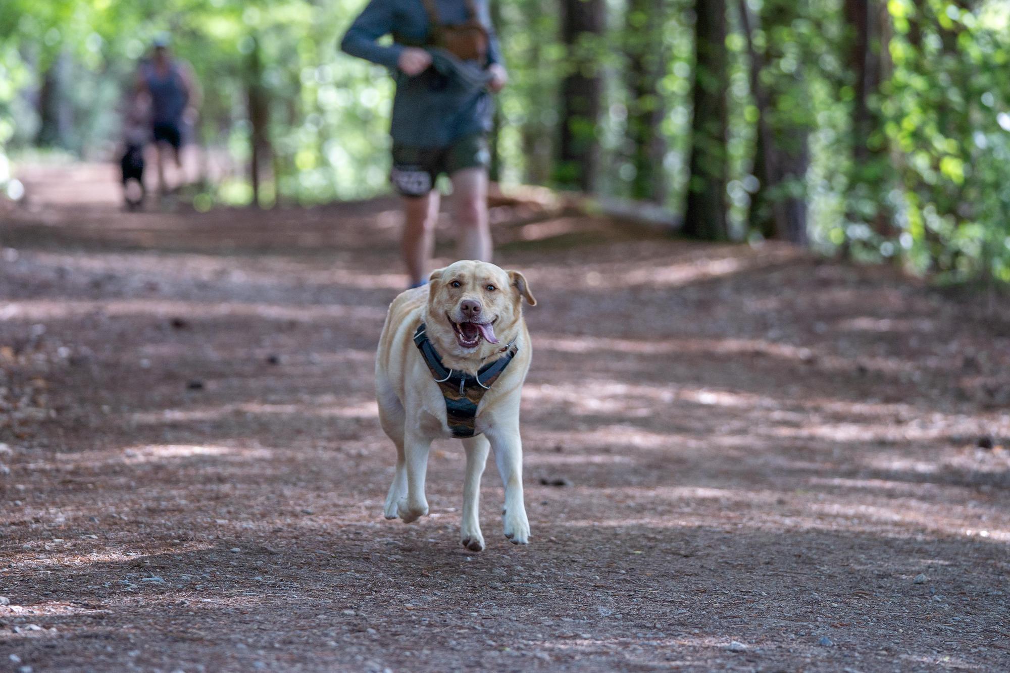 Tuck Fest 2025 - Sean Richard