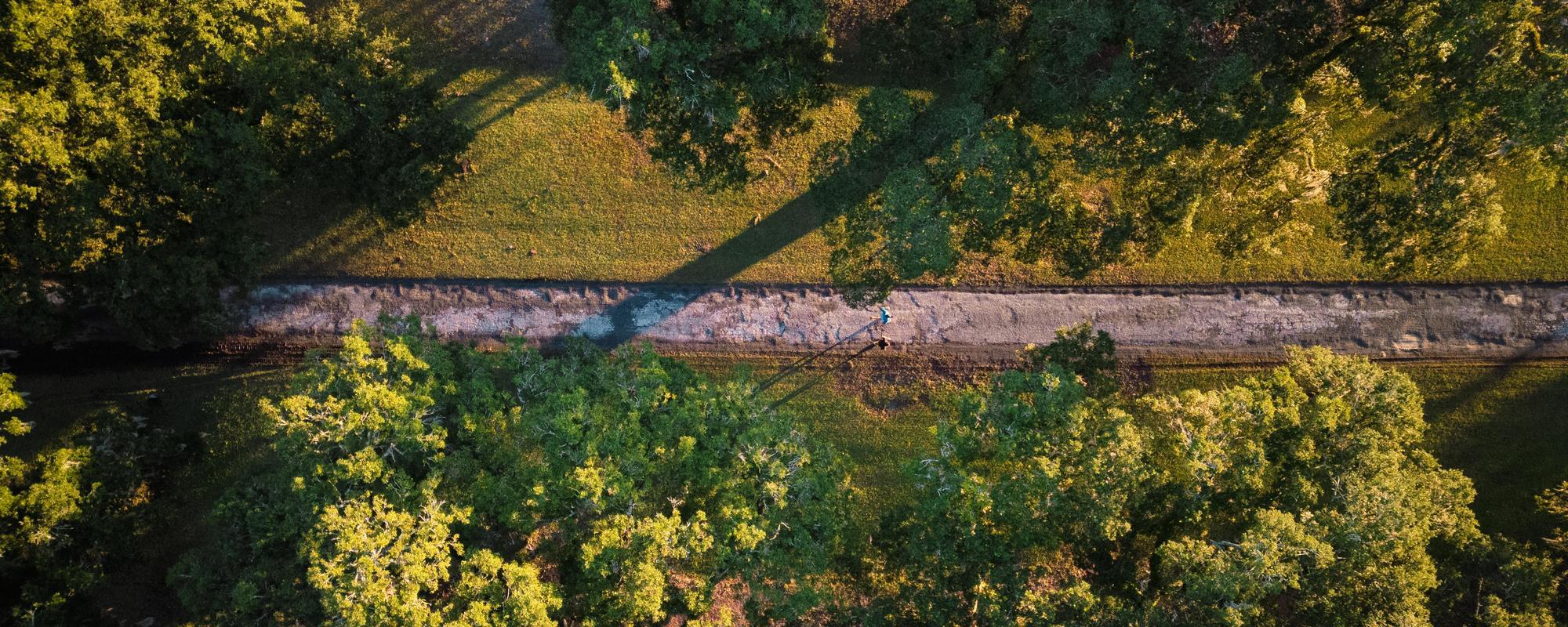 (Fall 2025) Middleburg - Samuel Martin